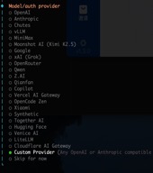 OpenClaw 的自定义提供商列表