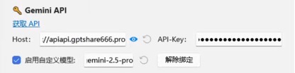 Zotero One API 的 Gemini 自定义密钥区域，密钥已遮挡